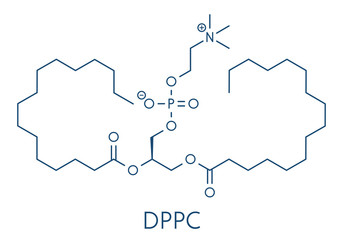 Pulmonary surfactant molecule. Chemical structure of dipalmitoylphosphatidylcholine (DPPC) the major constituent of lung surfactant. Skeletal formula.