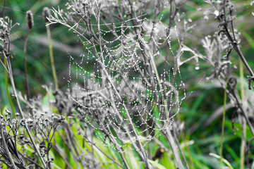 Beautiful landscape at the famous Cliffs of Moher and  O'Brien's Tower in Co. Clare, Europe, ireland