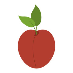 Delicious peach fruit icon vector illustration graphic design
