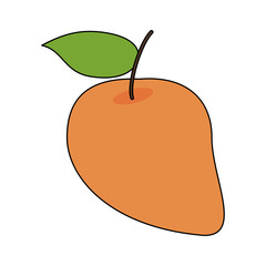 Mango delicious fruit icon vector illustration graphic design
