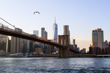 New York Financial District Skyline