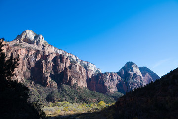 The Canyons of Zion 
