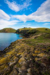 Fototapeta premium Spring in New Zealand