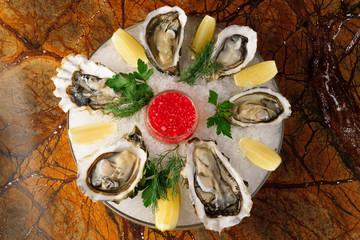 oysters on ice