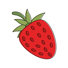 Strawberry delicious fruits icon vector illustration graphic design