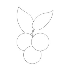 Delicious blueberries fruits icon vector illustration graphic design