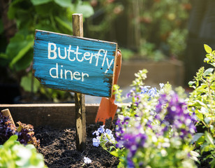 Freshness flower garden crate with wooden banner