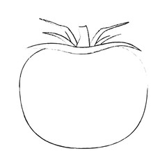 Tomato fresh vegetable icon vector illustration graphic design