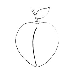 Delicious peach fruit icon vector illustration graphic design