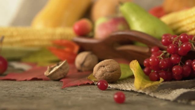 Autumn vegetables, berries and fruits. Seasonal autumn food - pumpkins, corn, apples, pear, viburnum, physalis close-up. Slow motion.