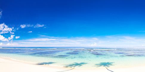 Tropical beach on Samoa © Rawpixel.com