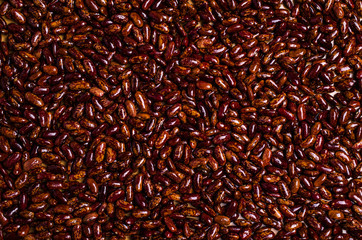 Raw pure speckled kidney beans
