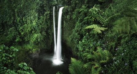 A waterfall in Samoa - obrazy, fototapety, plakaty