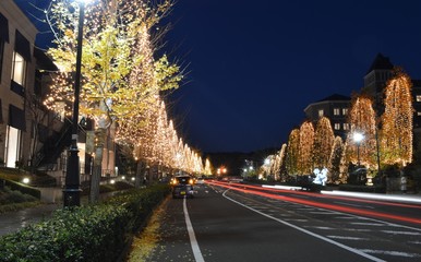 イルミネーション