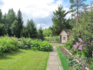 small children's house among pines and fir-trees