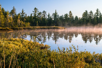 Michigan Misty Morning Wilderness Forest Background. Mist rises off a pond in the wilderness of...