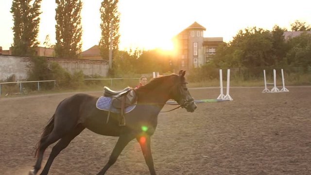 Girl is teaching a black horse to run around in a circle on a horse farm in the fall at sunset. Slow motion. Training of the horse running in a small circle.