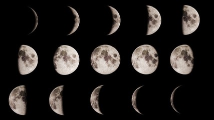 Naklejka premium Moon phases