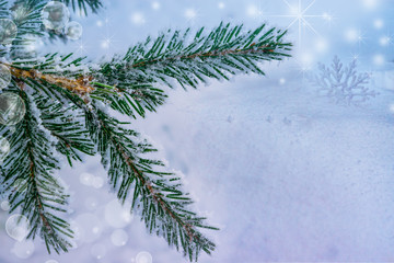 Christmas and new year background. Christmas tree branch in the snow, frost on natural snow, blank cards.