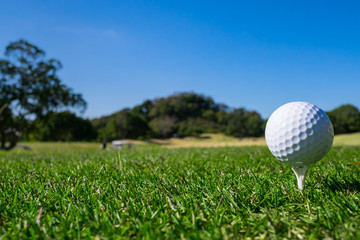 Golf Course where the turf is beautiful and Golf Ball on tee. Golf is a sport to play on the turf	