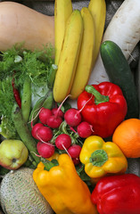 fresh vegetables just harvested