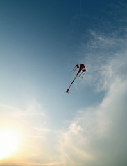 Fototapeta premium kite symbol of freedom flies in the sky at sunset