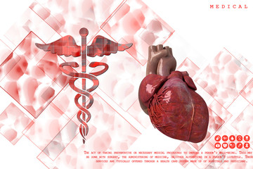 3d illustration  Anatomy of Human Heart
