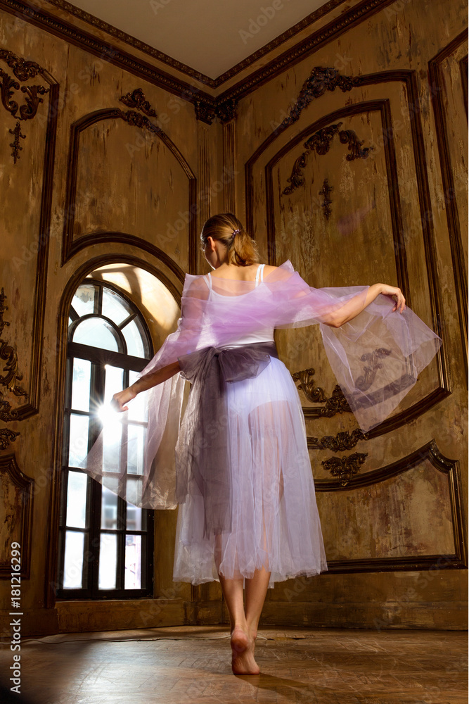 Wall mural Ballet dancer in a lavender ballet tutu. Ballerina is performing a dance during classes in ballet school. The girl's hair is gathered in a knot. Rear view.