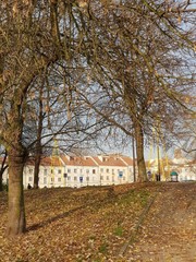 Jesień © michalsen