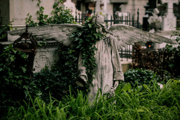 Statue in an old cemetery
