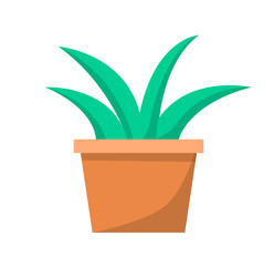 Green Aloe Plant in Clay Pot Vector Illustration