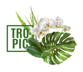 Tropic plants banner © purplebird