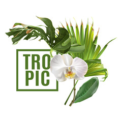 Tropic plants banner © purplebird