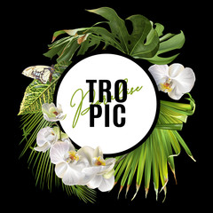 Tropic round banner © purplebird