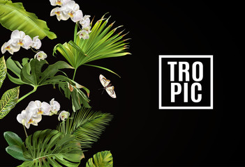 Tropical orchid horizontal banner © purplebird