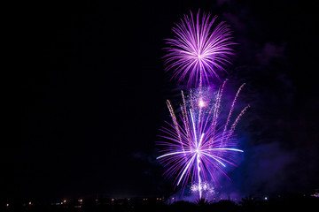 Night picture of a vibrant purple firework