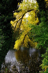 Herrliche Herbstfarben am Fluß  ( Serie 15-teilig )