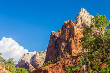 Obraz premium Bright scenery in Zion National Park, Utah, with deep blue skies and red rock formations