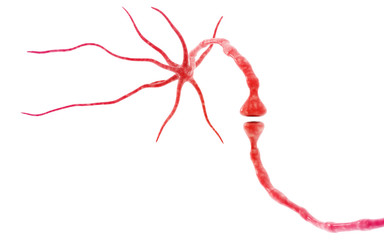 3d rendered Synapse isolated on white background