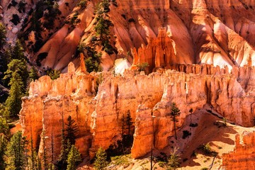 leuchtender Bryce Canyon Nationalpark