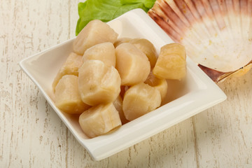 Raw scallops heap