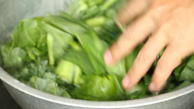 washing  Chinese kale 