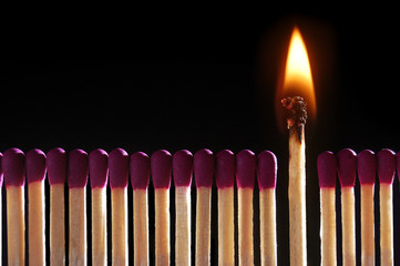 Lit match standing middle of row of matches, close-up