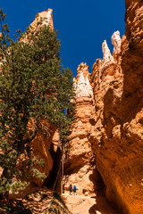 schlucht in Bryce Canyon Nationalpark