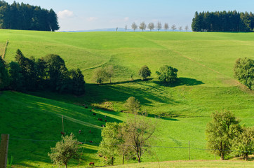 Green meadow against blue sky. Black Forest national park, or so-called Schwarzwald, Germany.