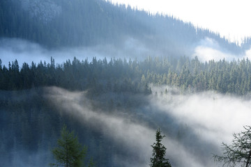 mountain tops in  autumn covered in mist or clouds