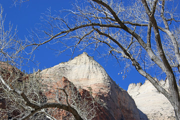 Zion National Park, Utah
