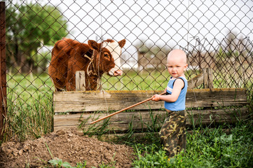 Boys feed chickens and farm animals on their father's farm in the countryside. © galitsin