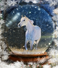White Horse in a Snowglobe 
