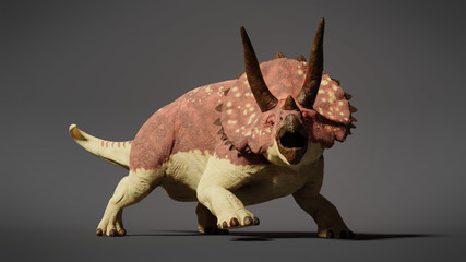Triceratops horridus dinosaur (3d illustration)